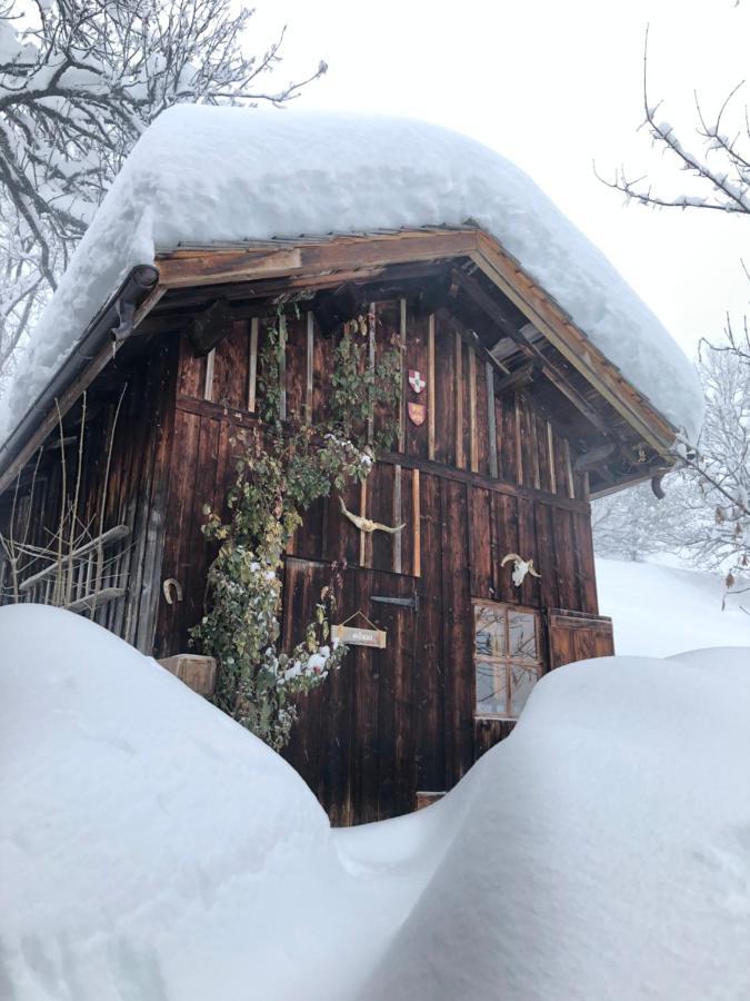 Le Pika Bed & Breakfast Hauteluce Exterior photo